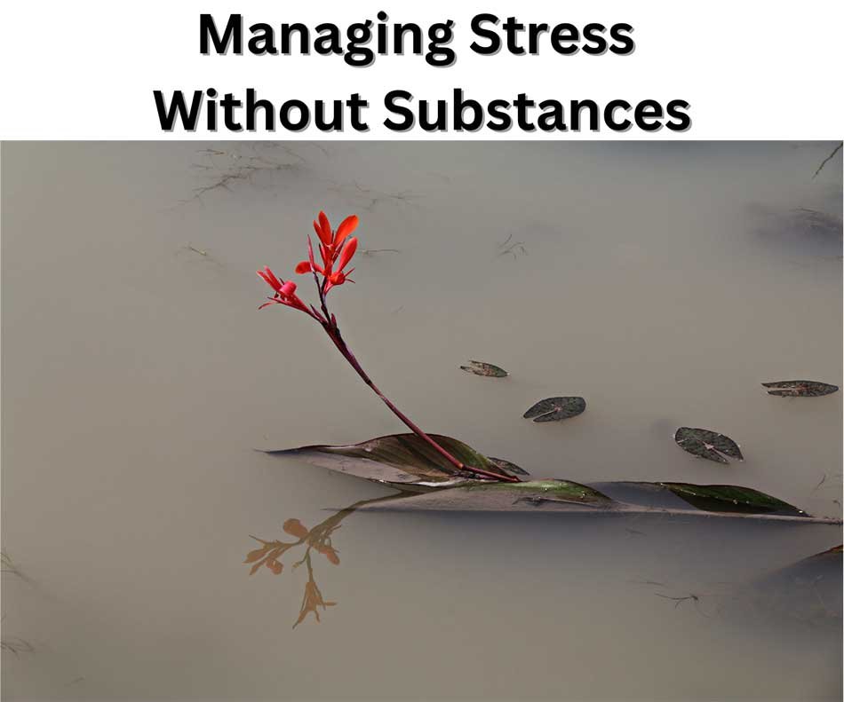 Managing Stress