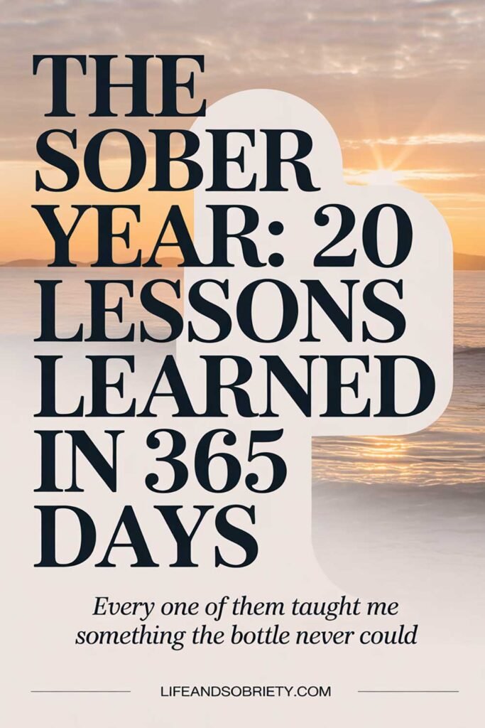 The Sober Year 20 Lessons Learned in 365 Days